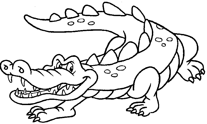 Crocodile Colouring Sheets 3