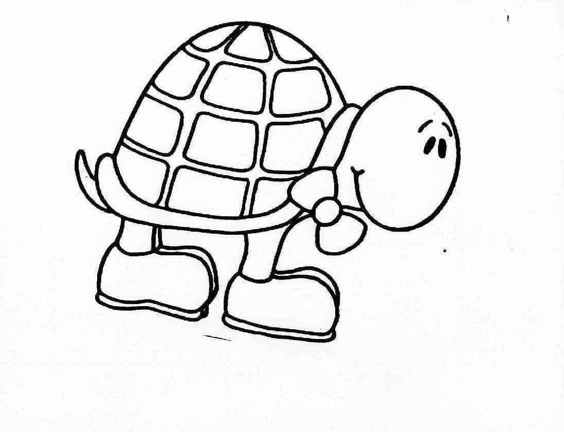 Turtle Colouring Sheets 2