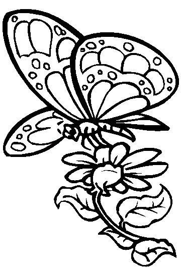 Butterfly Colouring Sheets 2