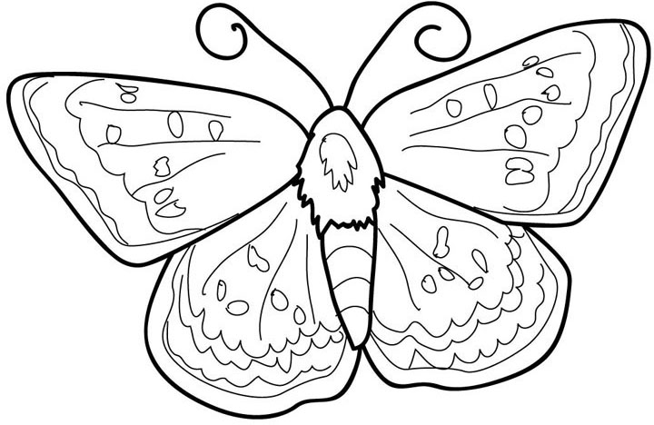 Butterfly Colouring Sheets 3
