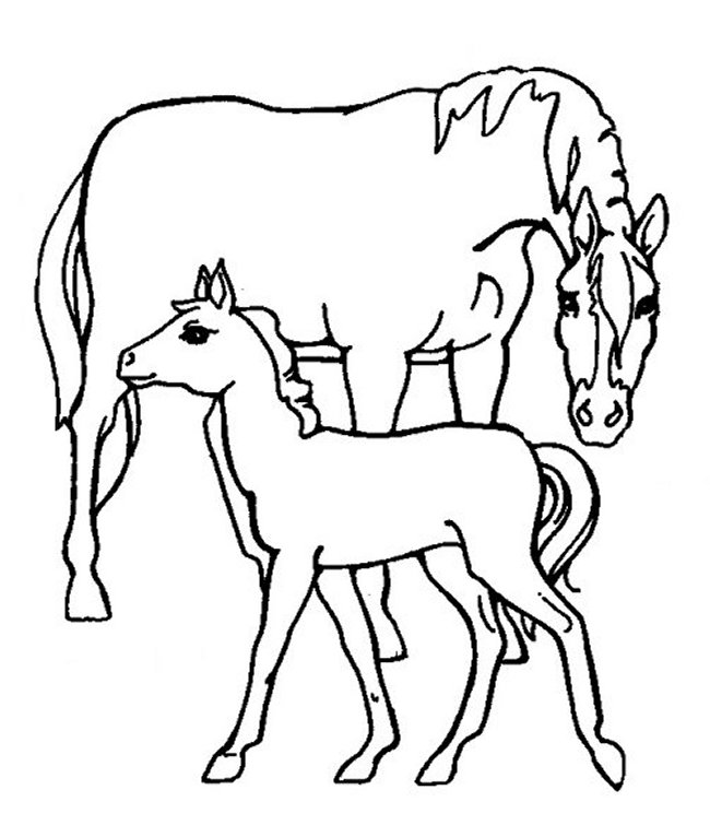 Horse Colouring Sheets 1