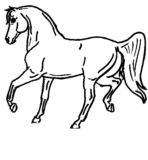 Horse Colouring Sheets 2