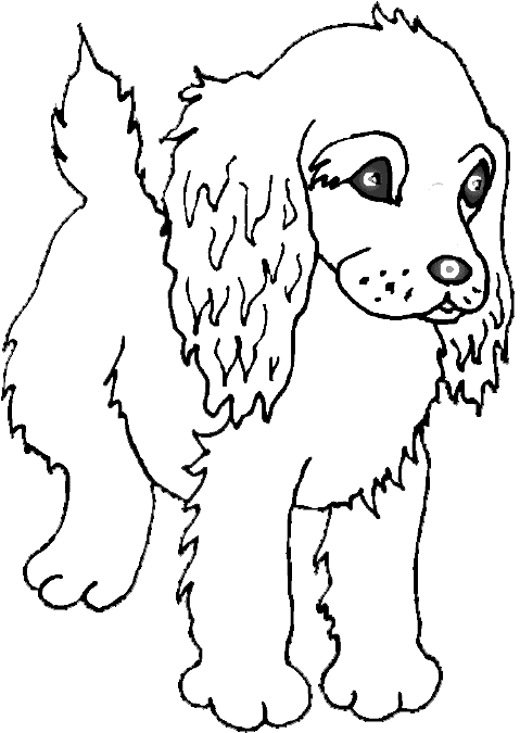Puppy Colouring Sheets 1