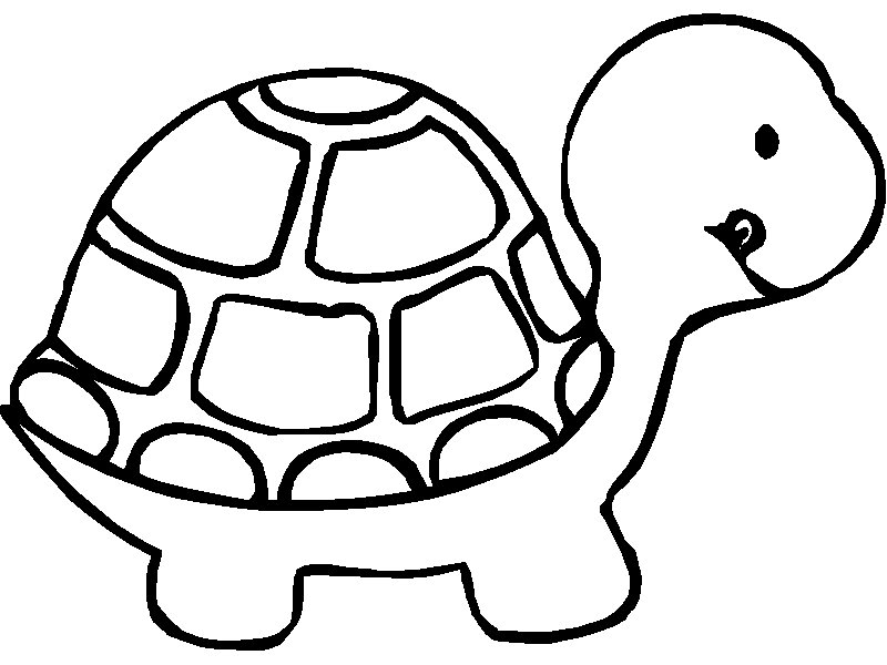 Turtle Colouring Sheets 3